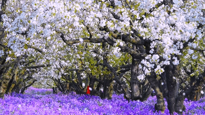 ����һ��300��Ǩ��������������Ǩ����30���꣡