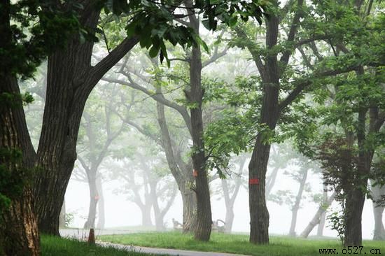 ��Ǩ���˹�˾