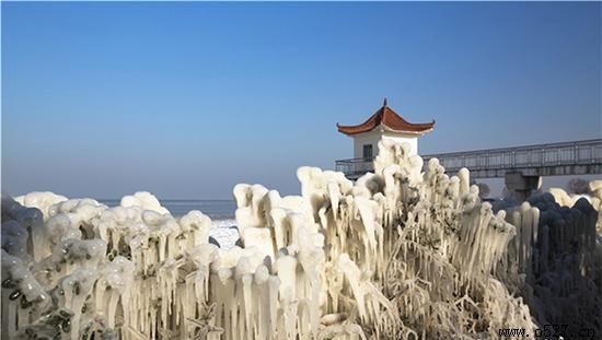 ��Ǩ���˹�˾