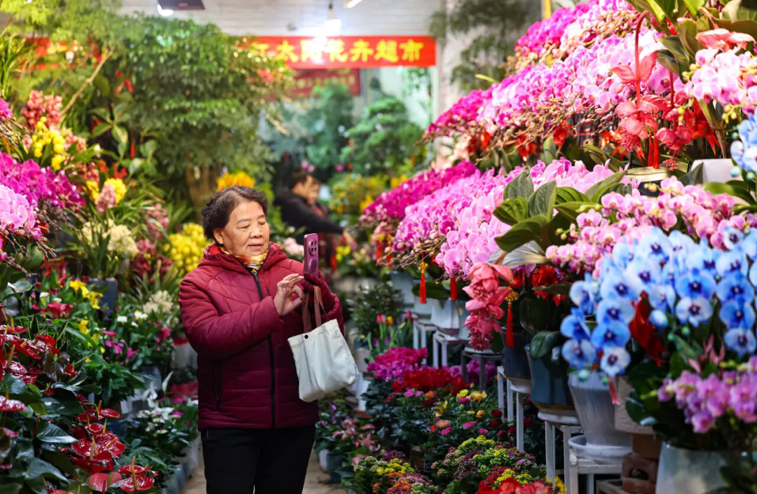 ����ŭ�ţ��й����ܲ�ҵ����